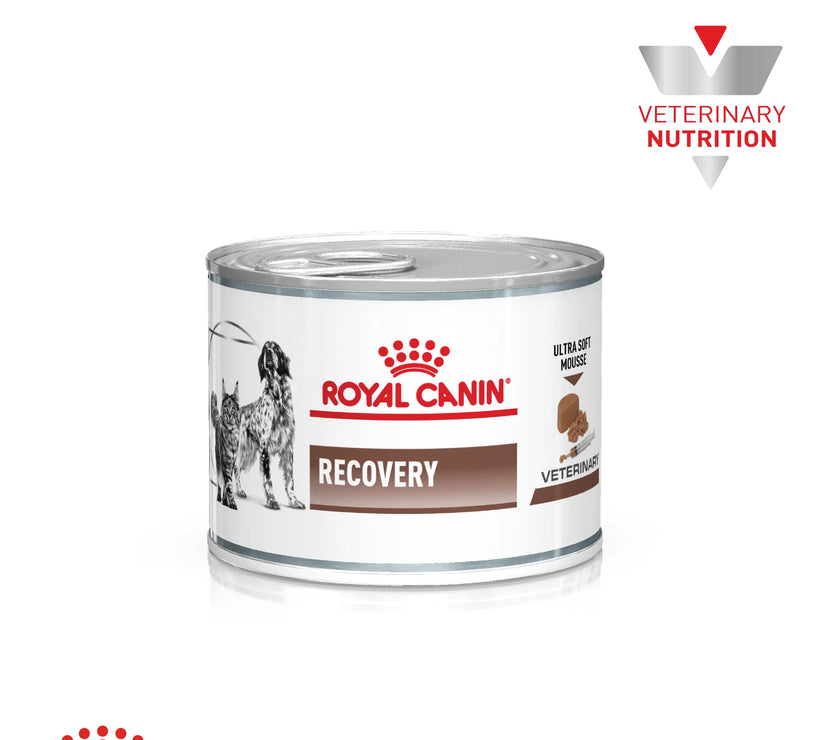 Lata Royal Canin Vhn Recovery Wet 145 Gr