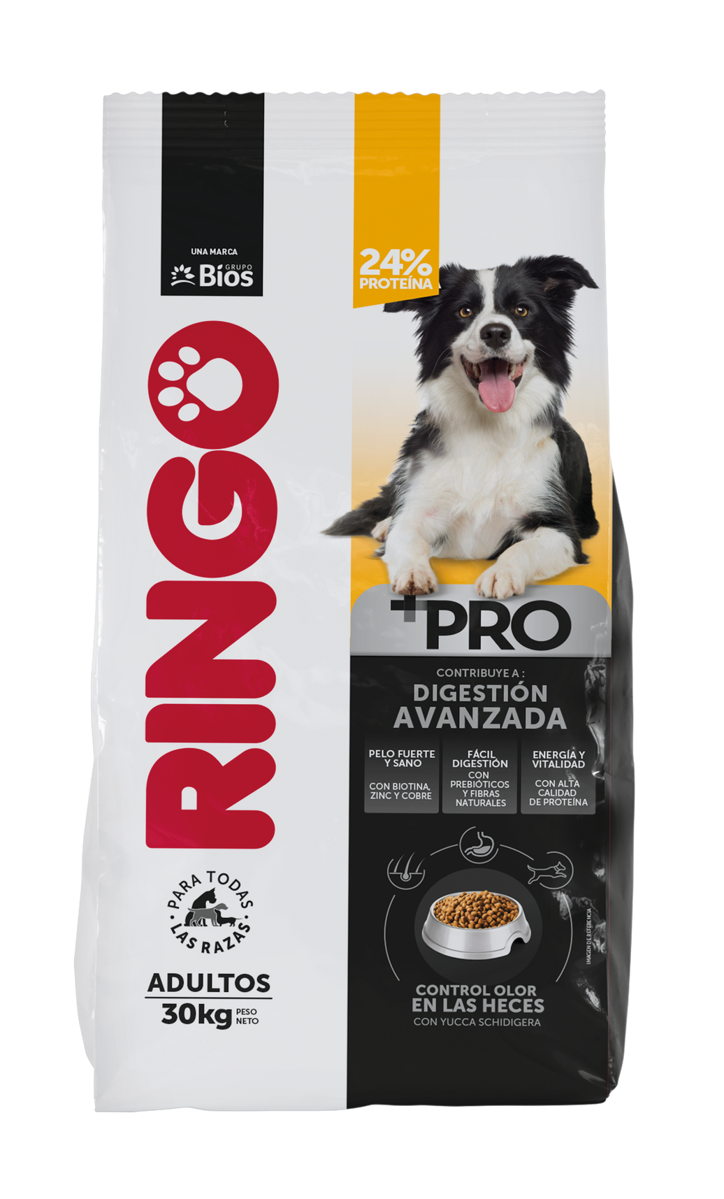 Ringo+Pro Adulto