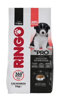 Ringo +Pro Cachorro
