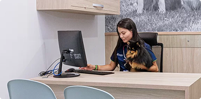 Clínica veterinaria