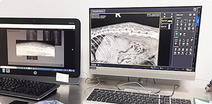 Imágenes diagnósticas