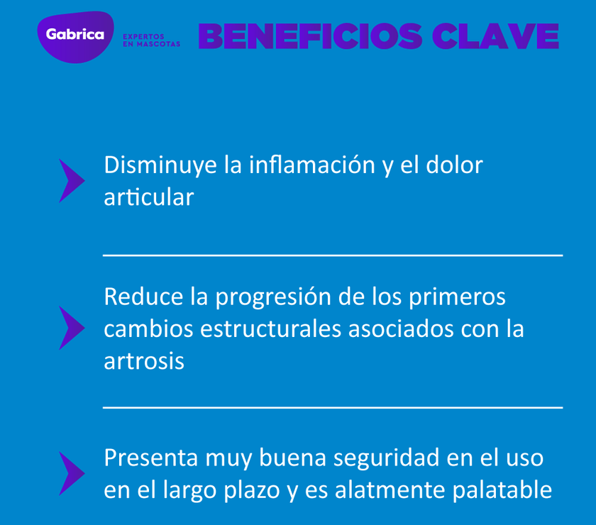 Rimadyl Antiflamatorio para perro