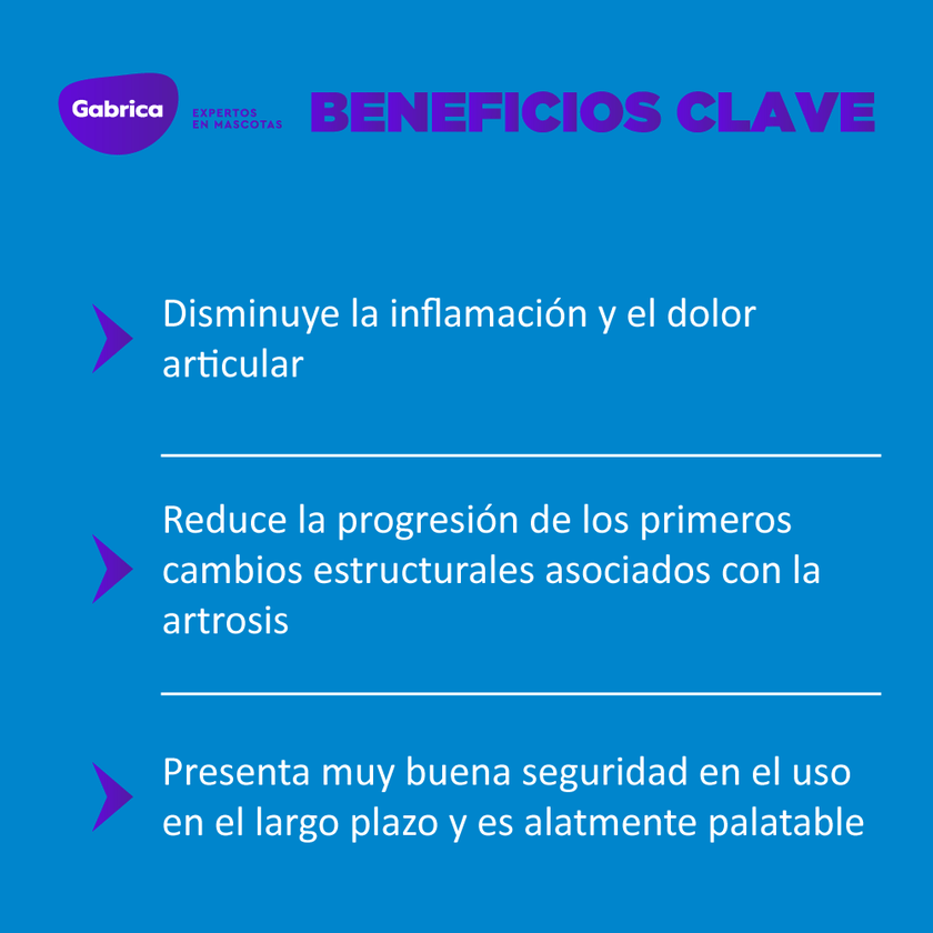 Rimadyl Antiflamatorio para perro