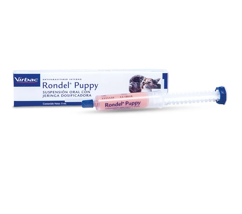 Rondel Puppy