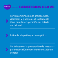 Suplemento Glicopan Para Perro Y Gato