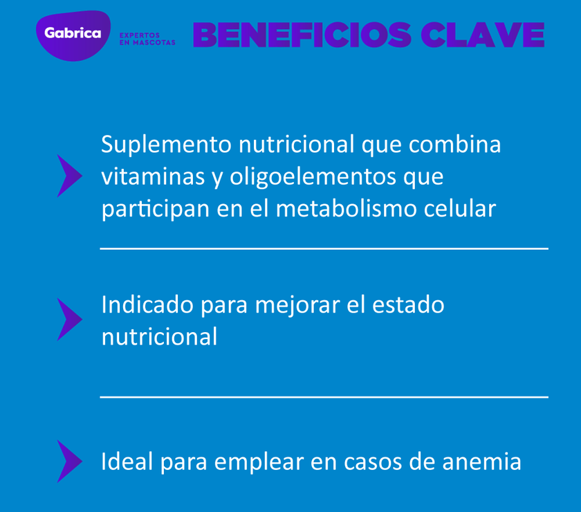 Suplemento Hemolitan Para Perro Y Gato