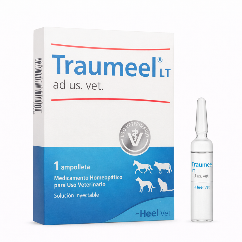 TRAUMEEL LT AD US VET AMPOLLA - Heel