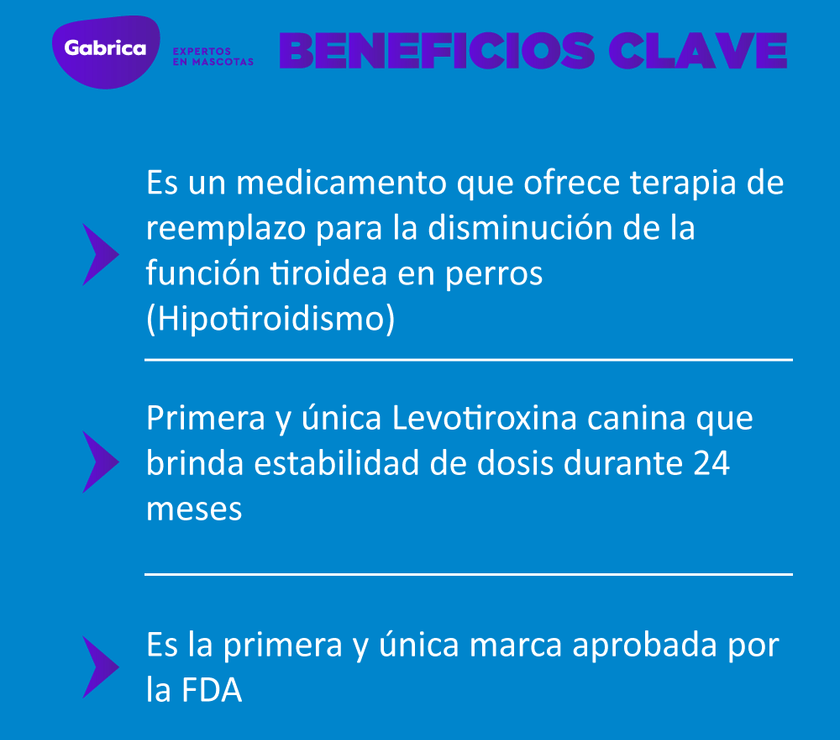C Thyro-Tabs soporte tiroideo para perros x 120 tabletas