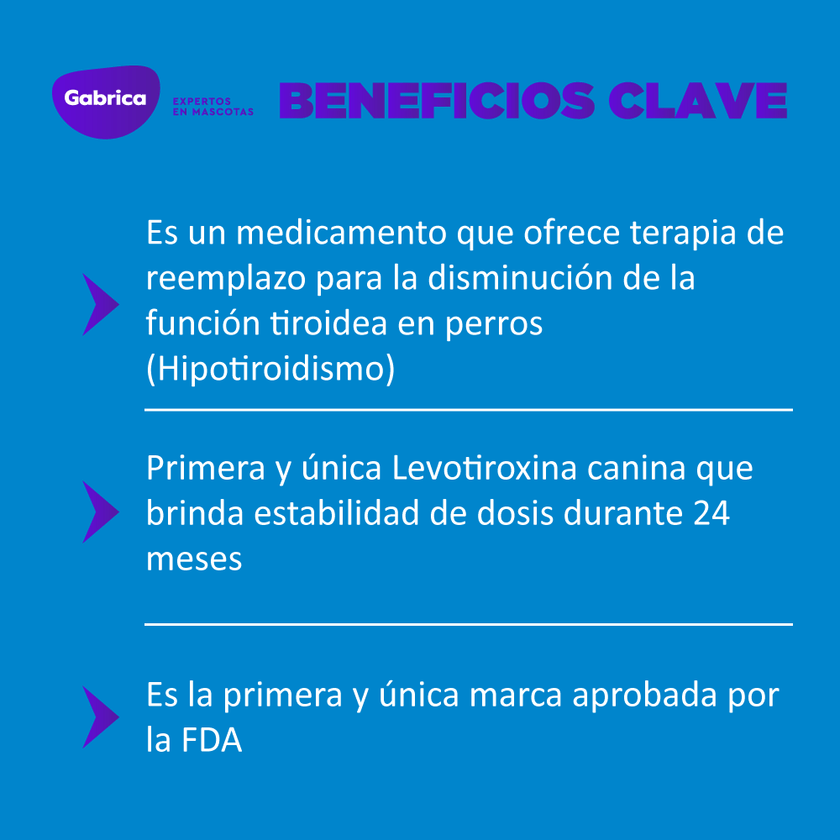 C Thyro-Tabs soporte tiroideo para perros x 120 tabletas