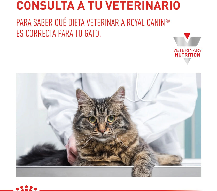 Alimento Royal Canin Vhn Urinary S/O Cat 3.5Kg
