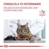 Alimento Royal Canin Vhn Urinary S/O Cat 3.5Kg