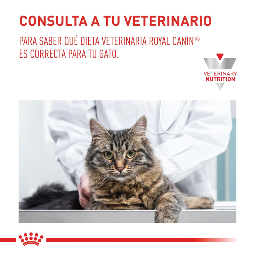 Alimento Royal Canin Vhn Urinary S/O Cat 3.5Kg