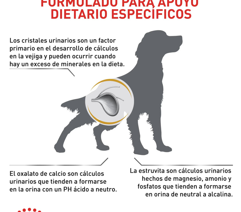 Alimento Royal Canin Vhn Urinary S/O Canino 8 Kg