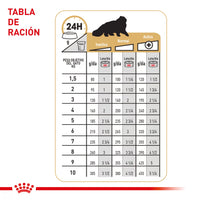 Lata Royal Canin Fbn Persian Wet 85 GR