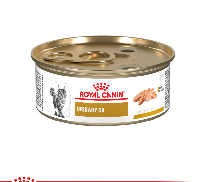 Lata Royal Canin Vhn Urinary S/O Felino 145 GR