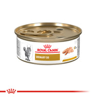 Lata Royal Canin Vhn Urinary S/O Felino 145 GR
