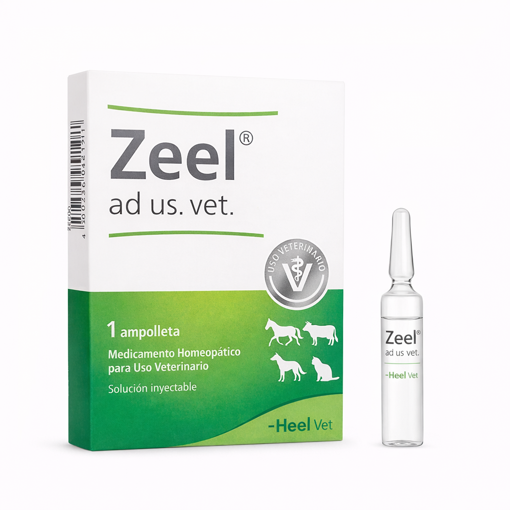 ZEEL AD US VET AMP - Heel