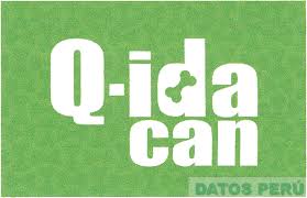 Q-ida Can