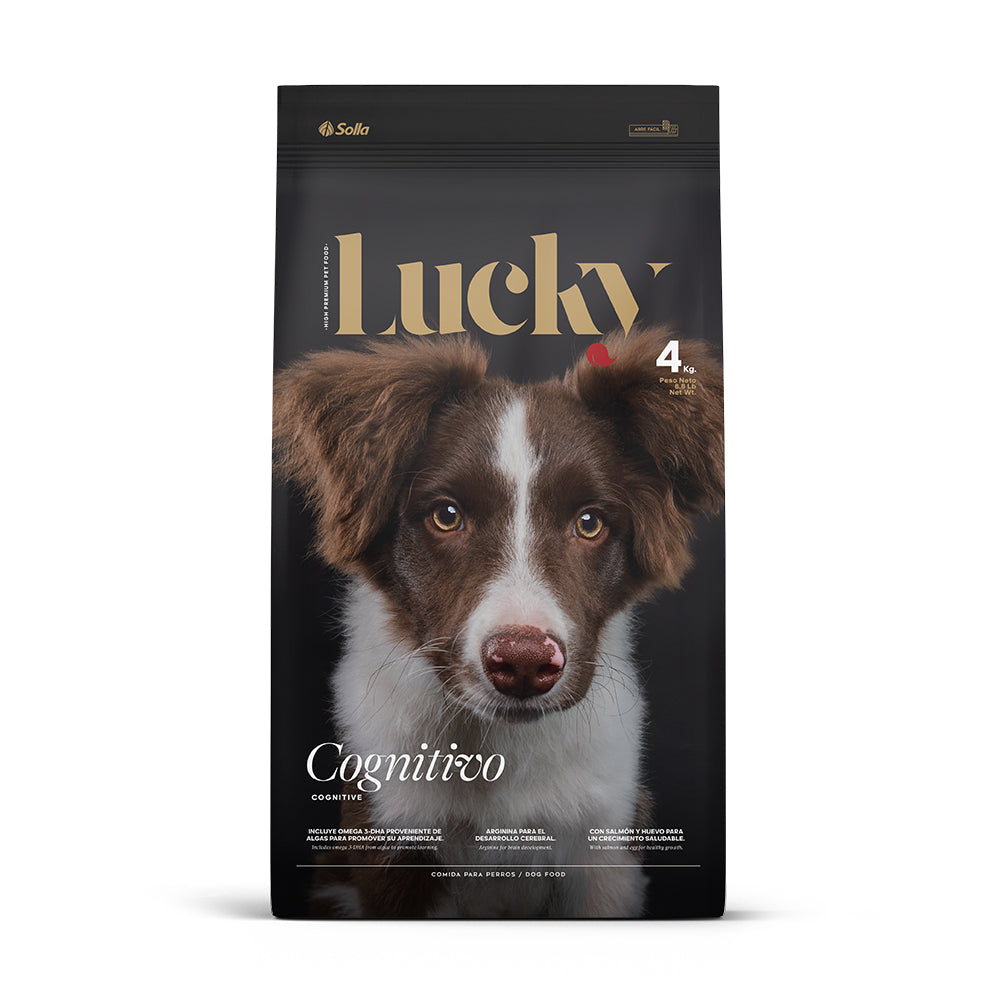 Lucky Desarrollo Cognitivo Ext 4x4Kg