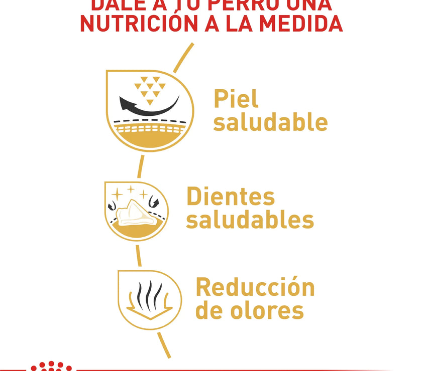 Alimento Royal Canin Bhn Pomerania Adulto