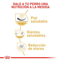 Alimento Royal Canin Bhn Pomerania Adulto