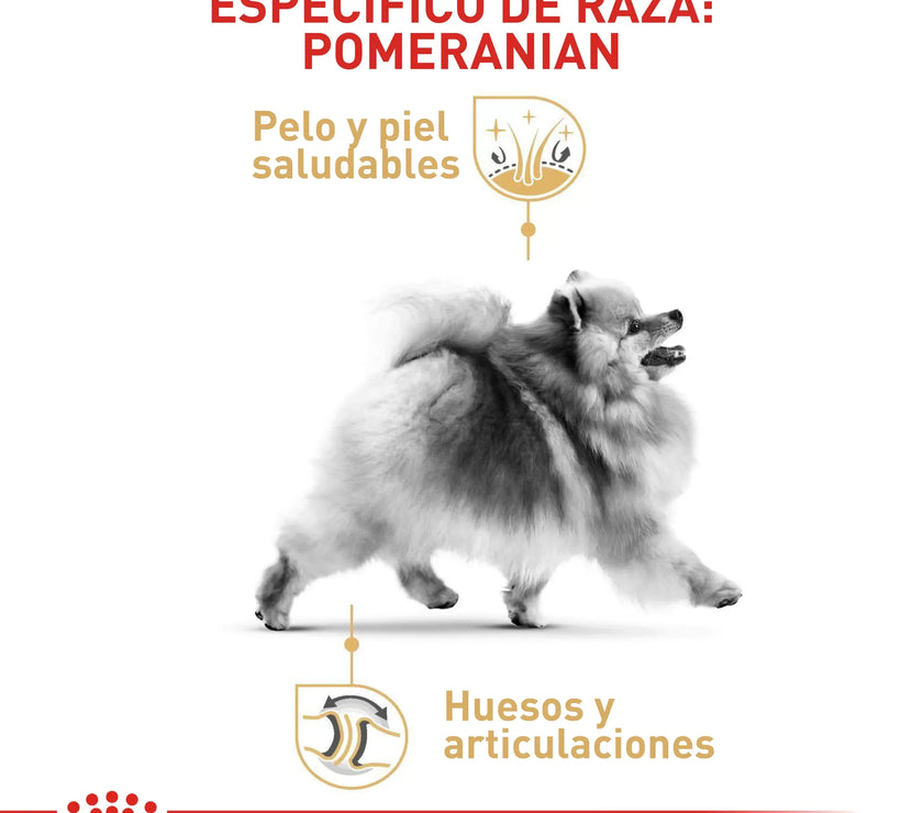 Alimento Royal Canin Bhn Pomerania Adulto