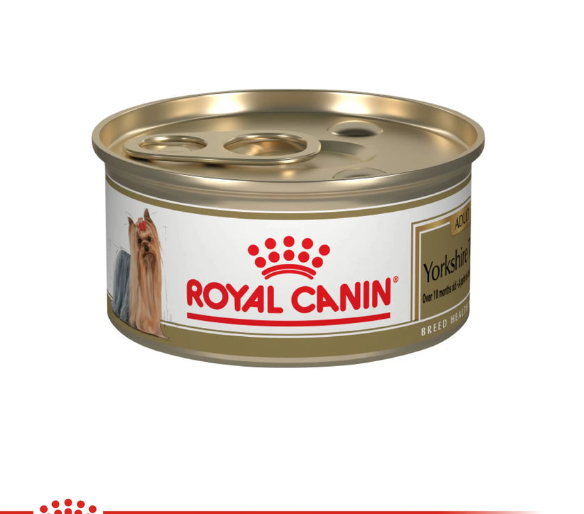 Lata Royal Canin  Bhn Yorkshire Wet 85 Gr