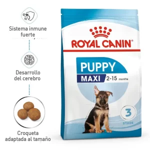 Alimento Royal Canin Shn Maxi Puppy – 1kg