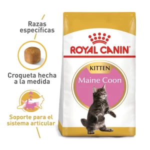 Alimento Royal Canin Fbn Maine Coon Kitten 4 Kg